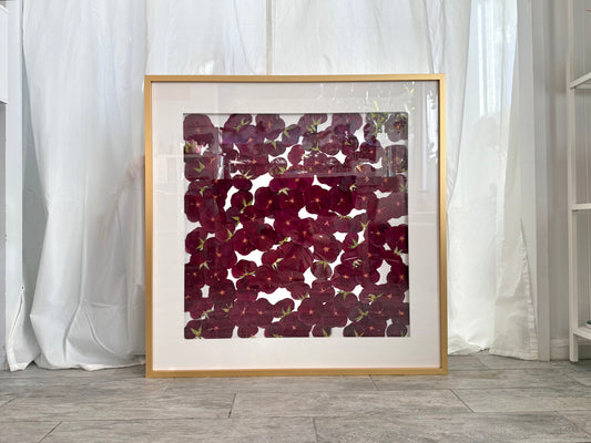 PROPOSAL FRAME FOR 108 ROSES