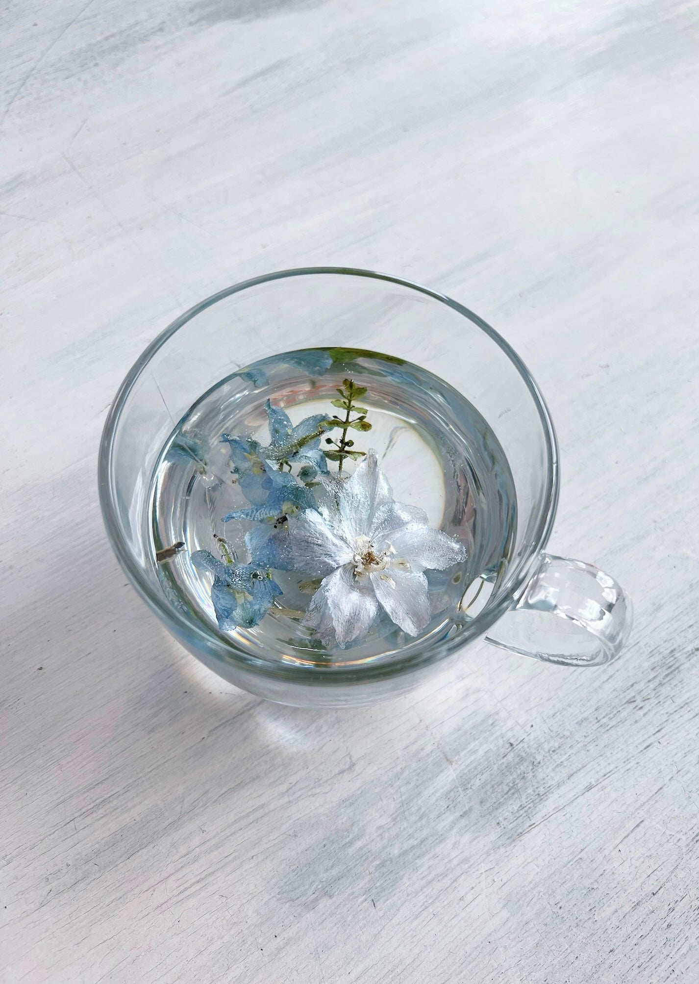 CAFÉ CUP