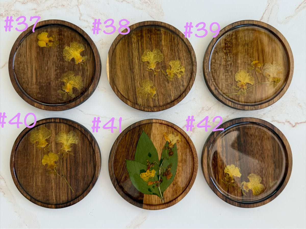 MiH PRESSED FLOWER COASTERS