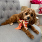 Twilly Silk Ribbon
